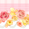 Programikonen: Rose Wallpaper Sweet Pink