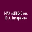 程序图标：Парк Гагарина