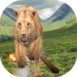 プログラムのアイコン：Lion attack crack screen …
