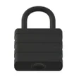 Icoon van programma: Lock Now