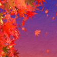 Programikonen: 舞い散る紅葉 ライブ壁紙