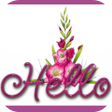 Ícone do programa: Hi Hello Gif Collection.