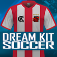 プログラムのアイコン：Dream Kit Soccer v2.0