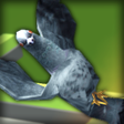 Programikonen: Pigeon Ragdoll Simulator