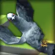 Pigeon Ragdoll Simulator