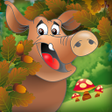 Programikonen: Animals Around the World …