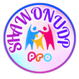 プログラムのアイコン：SHAWON UDP LITE II