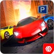 Icoon van programma: Driving School Simulator …