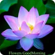Programikonen: Flowers GoodMorning GoodN…