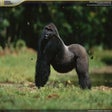 Ikona programu: National Geographic Afric…