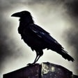Icoon van programma: Raven Crow Flight Simulat…