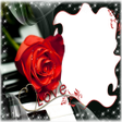 プログラムのアイコン：Love Photo Frame