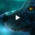 ไอคอนของโปรแกรม: Aurora Borealis Wolf Live…