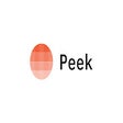 Icon of program: Peek Technology News