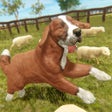 Ikona programu: Silly Sheep Run- Farm Dog…