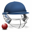 Symbol des Programms: Cricket Captain 2015