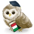 Иконка программы: MTL Learn Italian