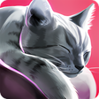 Programikonen: CatHotel - play with cute…