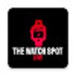 Programikonen: Watchspot Chrome