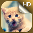 Programikonen: Kittens Live Wallpapers H…