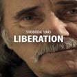 程序图标：Svoboda 1945: Liberation