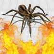 Programın simgesi: Pest Control 3D