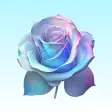 Rose Browser