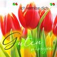 Programikonen: Good Morning in German