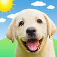 Programın simgesi: Weather Puppy Forecast  R…