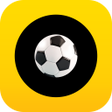 程序图标：Fortuna Sport