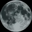 Geneva Moon