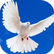 Icon of program: Musica cristiana Alabanza…