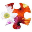 プログラムのアイコン：Jigsaws Galore Free