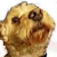 Programikonen: Doggo Backgrounds