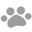 Icoon van programma: Footmarker