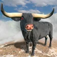 程序图标：Angry Bull Attack Cow Gam…