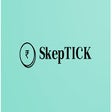 Skeptick: Financial Analysis