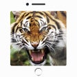 程序图标：150 Sounds of Animals