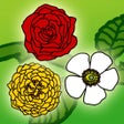Symbol des Programms: Rose Puzzle