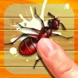 Bugs Smasher - Protect houses