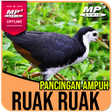 プログラムのアイコン：Suara Pemikat Ruak Ruak A…