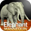 Elephant Mannequin
