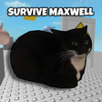 Programikonen: Survive Maxwell Friends L…