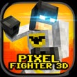 Programikonen: Pixel Fighter 3D