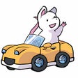 Programikonen: ChromeDriver