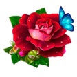 أيقونة البرنامج: WishOK - greeting cards  …