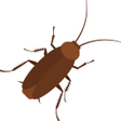 程序图标：Cockroaches crush