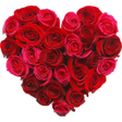 プログラムのアイコン:New WAStickerApps Flowers…
