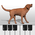 ไอคอนของโปรแกรม: Dog Piano Keyboard