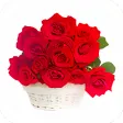 Red Rose HD Images 2020